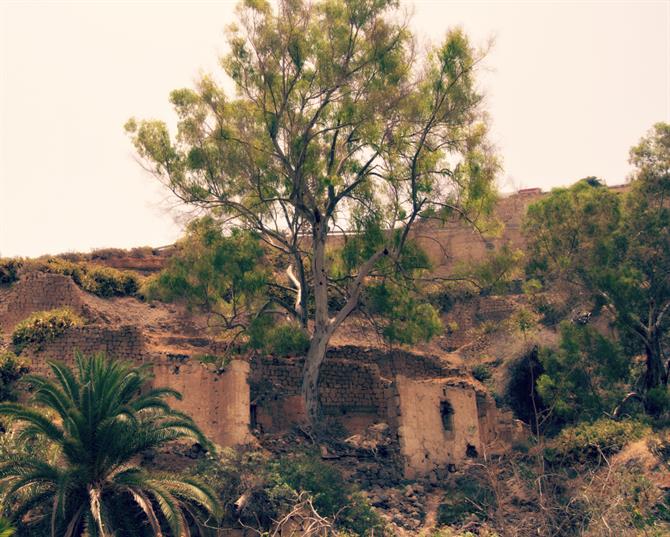 Barranco de Guiniguada treehouse