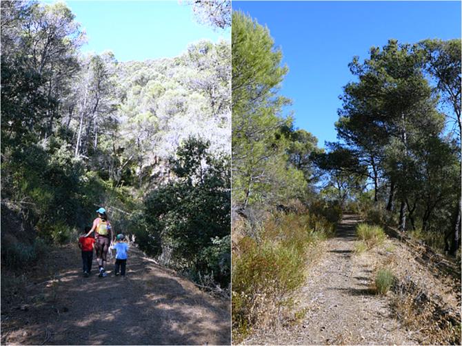 Montes de Malaga, Andalousie - Costa del Sol (Espagne)