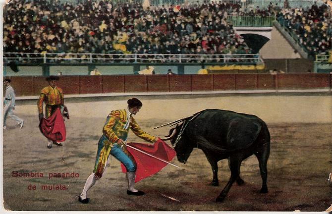 bullfighter