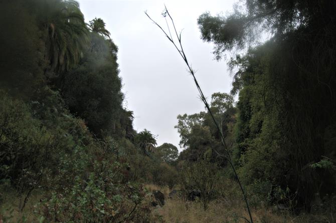 Barranco de Guiniguada