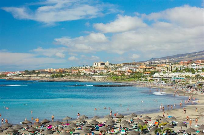 Playa de las Americas hotels vs holiday rentals
