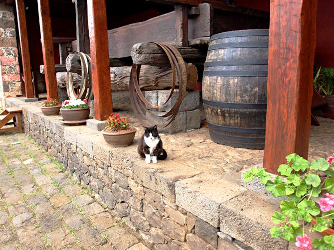 Casa del Vino, El Sauzal, Tenerife