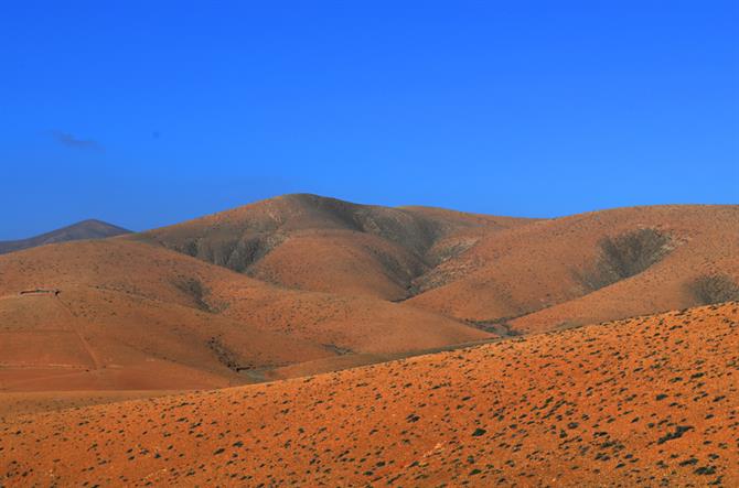 Amber landscape, Fuerteventura