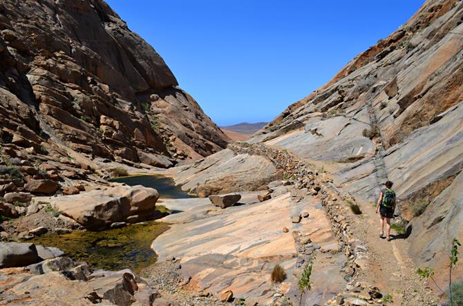 Rock pools, Fuerteventura