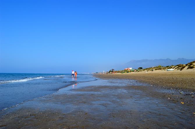 Playa Real de Zaragoza Marbella