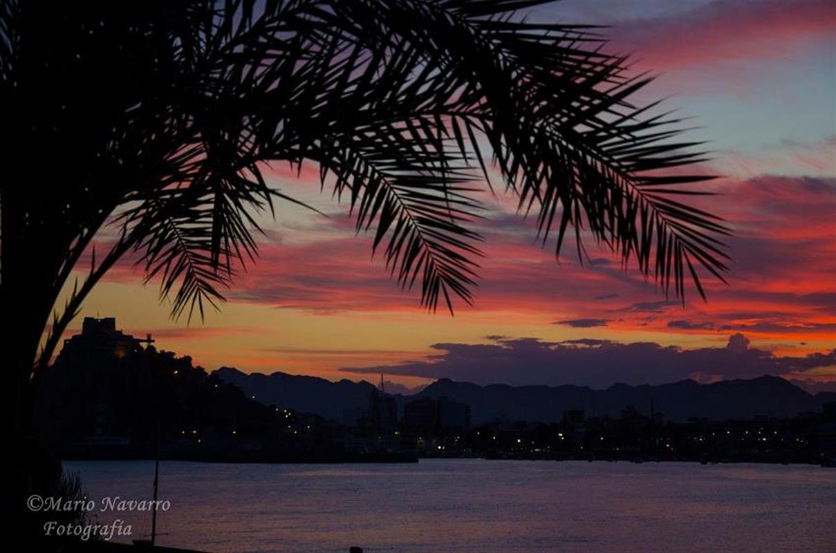 Fullmåne och Nattliga Promenader i Spanien