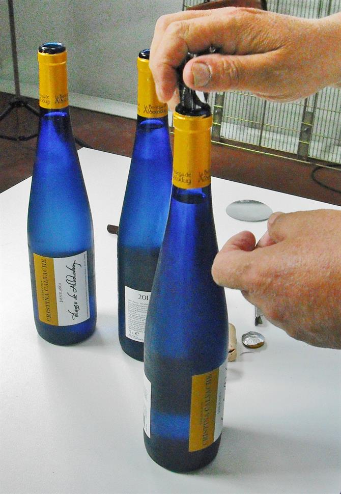 Weißwein von Cristina Calvache in der blauen Flasche