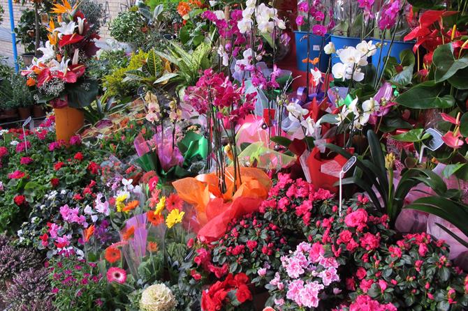 Flower stall outside Alicante market