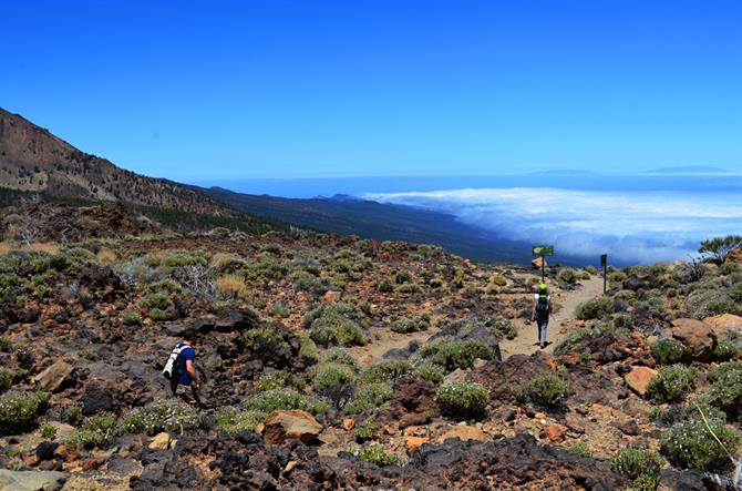 Above the clouds, Teide National Park, Tenerife