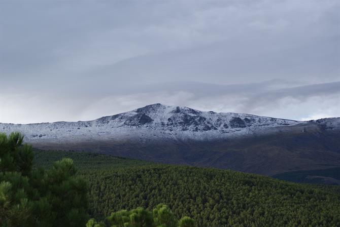 Sierra Nevada, Andalousie (Espagne)