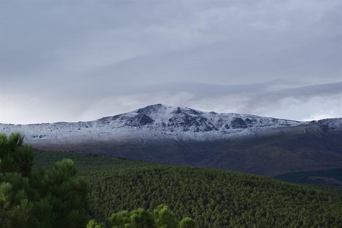 Sierra Nevada