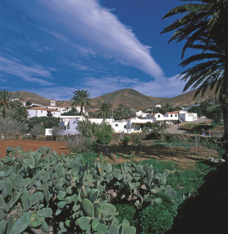 7 Tage auf Fuerteventura. Reisetipps vom Insider für jeden Urlaubstag.