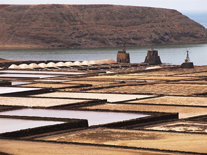 Salinas de Janubia, saltdammar, Lanzarote