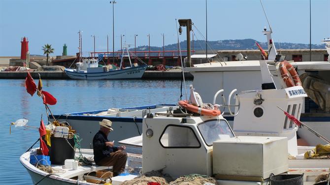 Javea beer is brewed in a fisherman's cottage