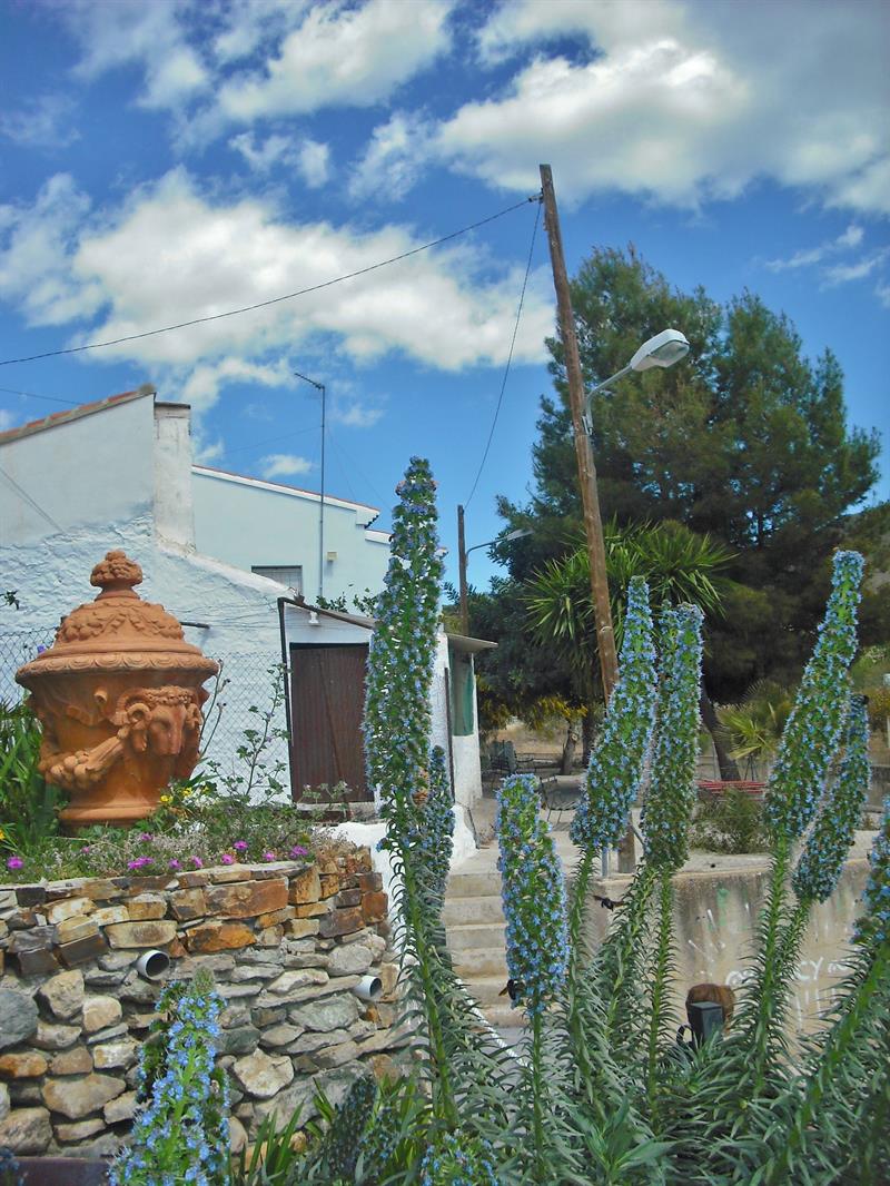 Winter in Almería Die besten Ausflugsziele