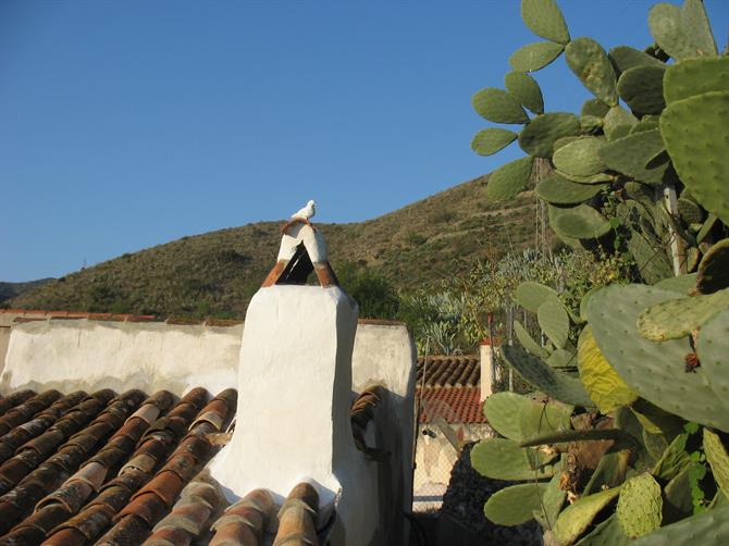 Fjällstuga med skorsten i Almeria