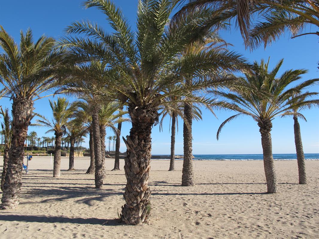 genade zuurstof Kreta Top 10 beste stranden, Alicante