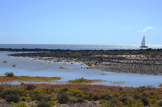 Salt marshes, Isla de Lobos, Fuerteventura, Canary Islands