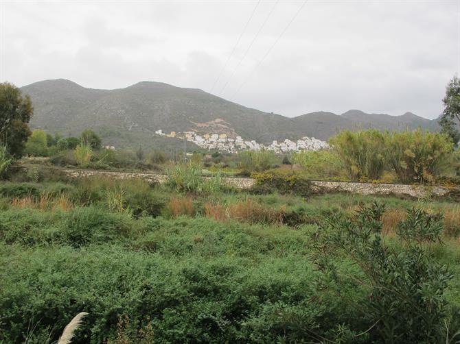 Viñedos en el Valle del Jalón, Alicante