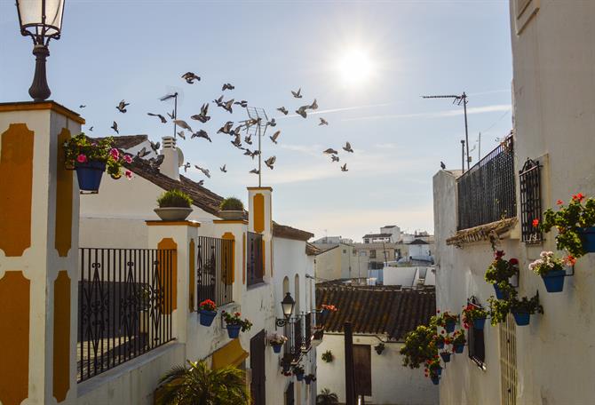 Estepona's historic center