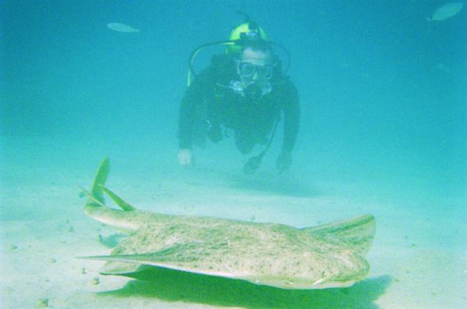 Diving, Teguise, Lanzarote, Canary Islands