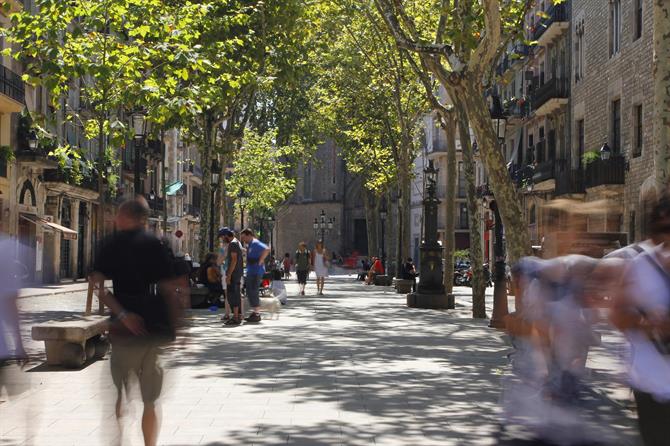 El Born - Passeig del Born und Sta. Maria del Mar