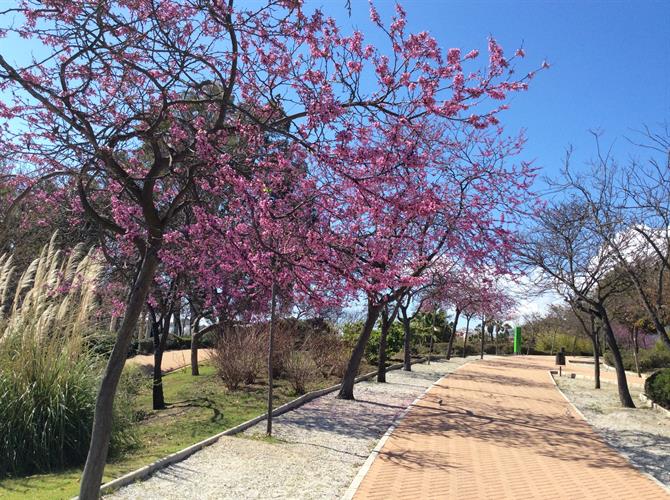 Parc de la Paloma, Benalmadena - Costa del Sol (Espagne)