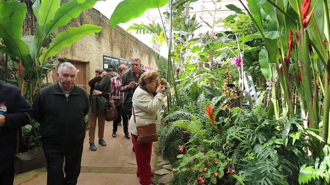 Visitors in Butterfly Park, Benalmadena