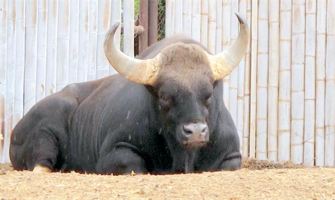 Terra Natura wildpark. Benidorm