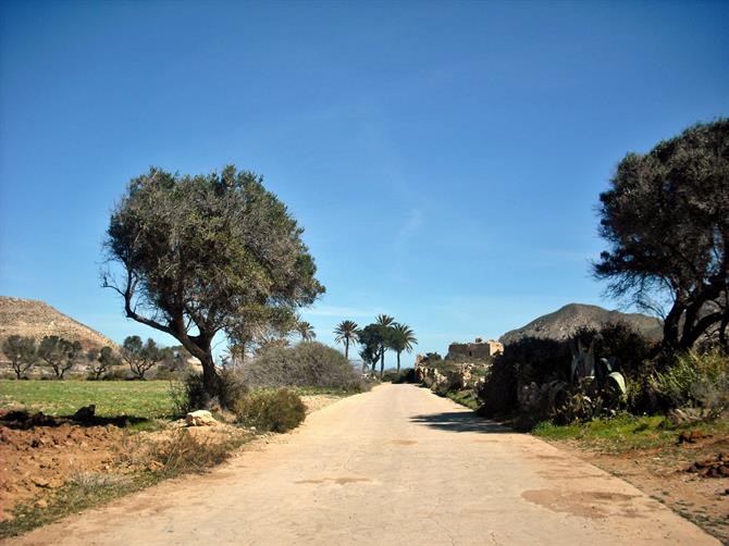 Strandstraße nach El Playazo - Cabo de Gata (Almeria)