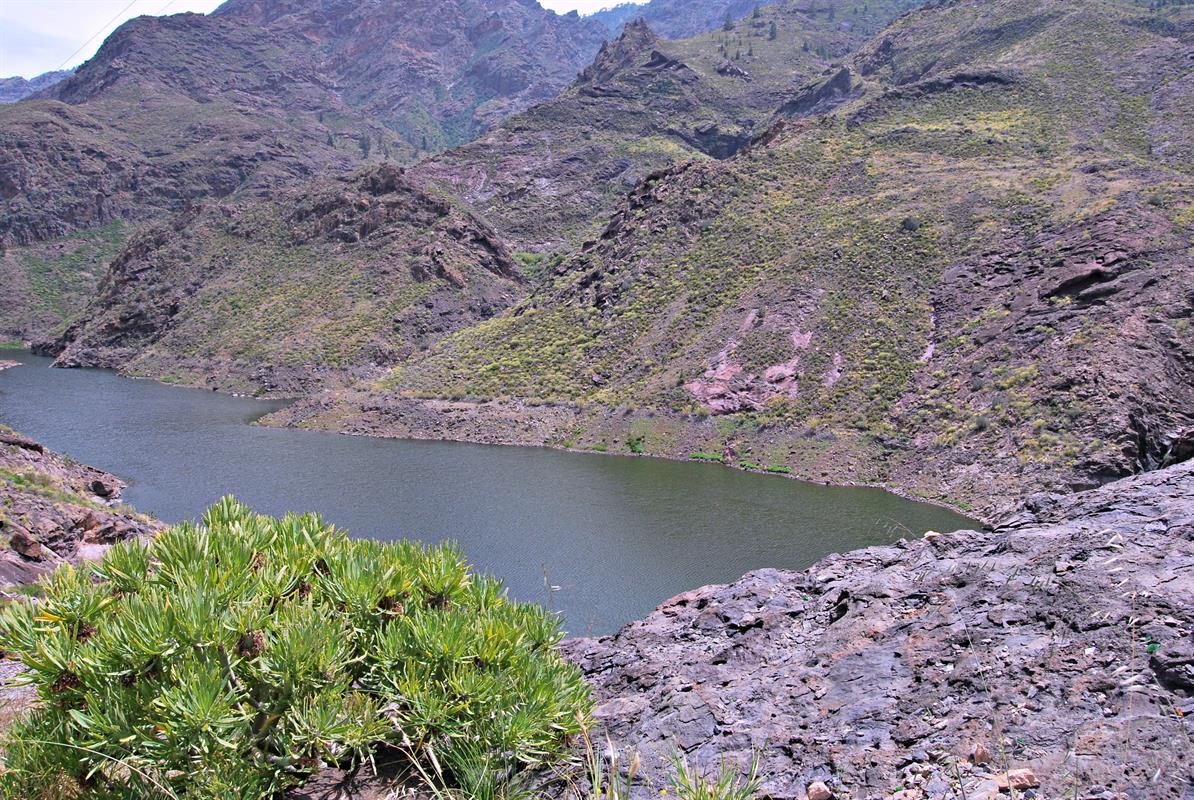 Ruta de Las Presas, discovering Gran Canaria's Great Lakes