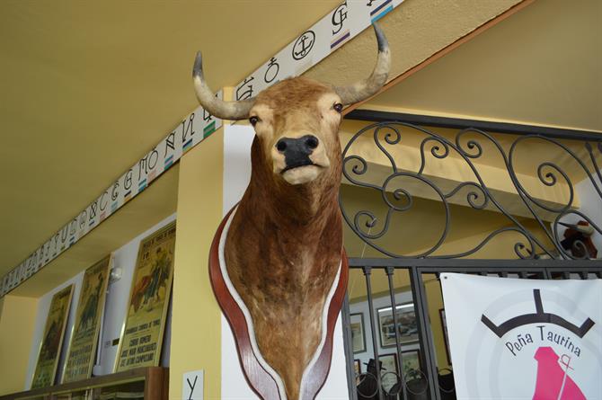 Bullfighting Museum Estepona