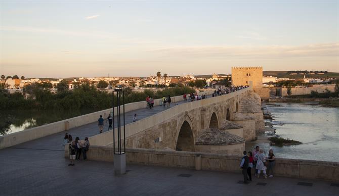 Cordoba ponte romano di sera