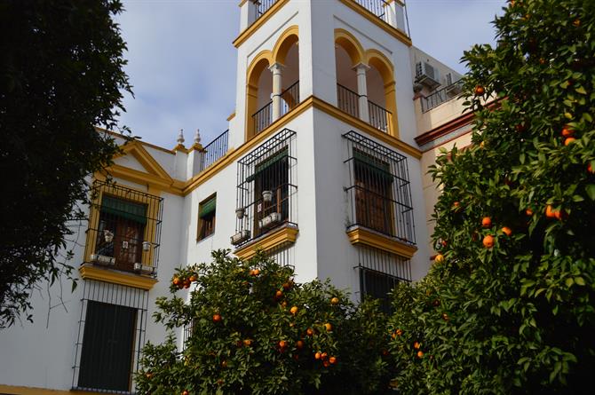 Quartier juif de Séville, Andalousie (Espagne)